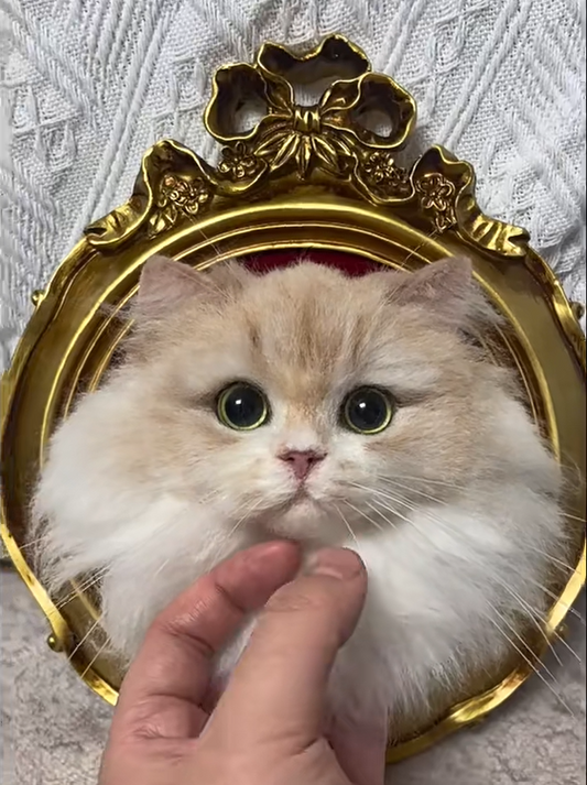 Custom Crown Framed Portrait without Paws (Suitable for All Cat and Dog Breeds)