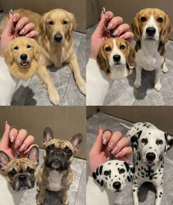 Custom Pet Portrait Keychain (Suitable for All Cat and Dog Breeds)