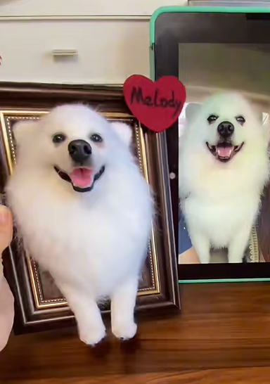 Custom Framed Portrait with Paws (Suitable for All Cat and Dog Breeds)