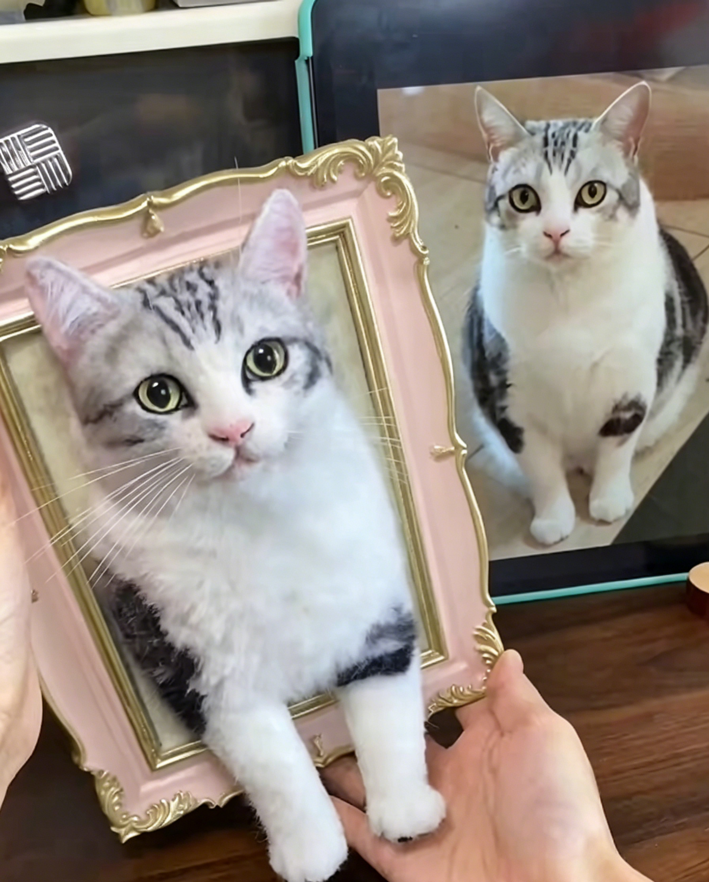 Custom Framed Portrait with Paws (Suitable for All Cat and Dog Breeds)